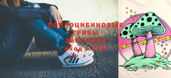крисы Нея