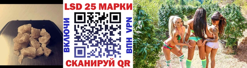 darknet официальный сайт  Челябинск  LSD-25 экстази ecstasy 