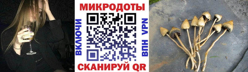 Галлюциногенные грибы мухоморы  Челябинск 